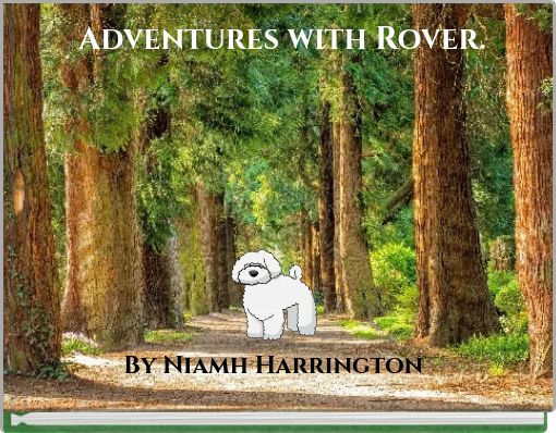 Adventures with Rover.