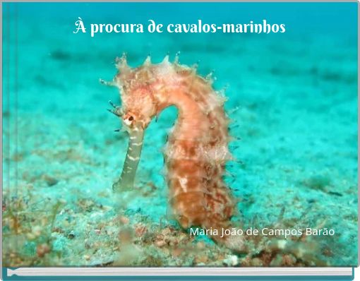 Front cover of 'À procura de cavalos-marinhos' 