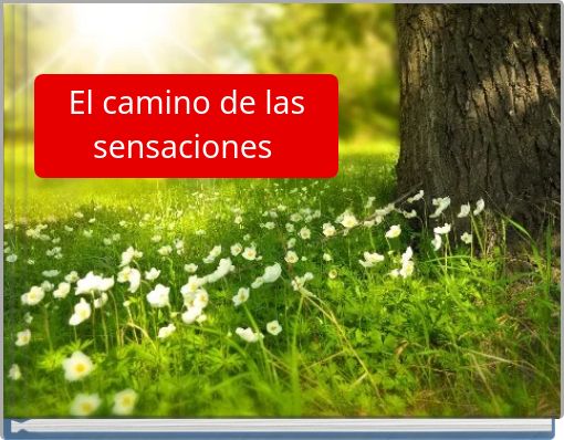 El camino de las sensaciones