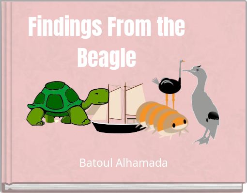 Findings From the Beagle