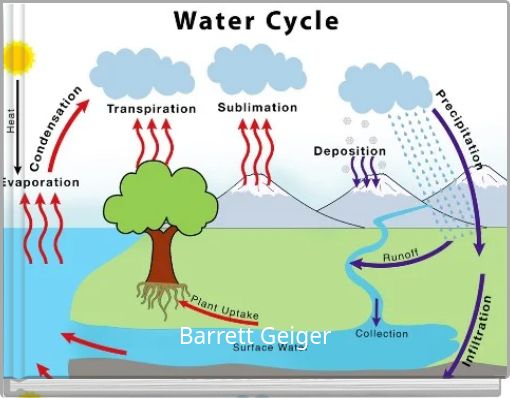 The Water Cycle
