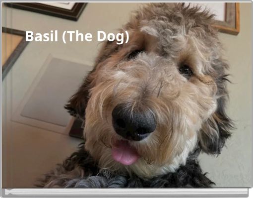 Basil (The Dog)