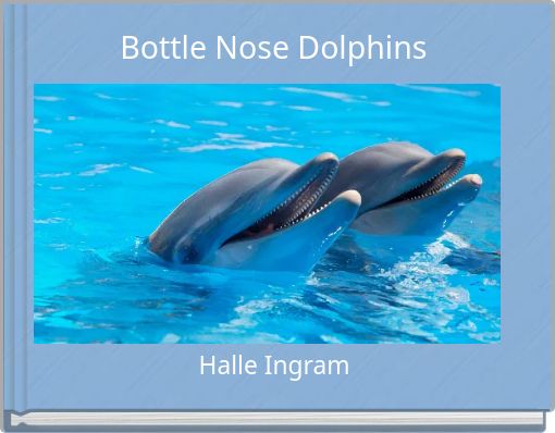 Bottle Nose Dolphins