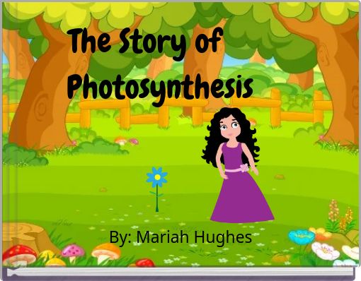 The Story of Photosynthesis