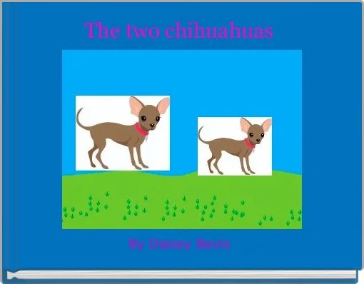 The two chihuahuas 