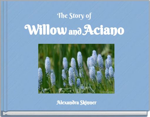 The Story of Willow and Aciano