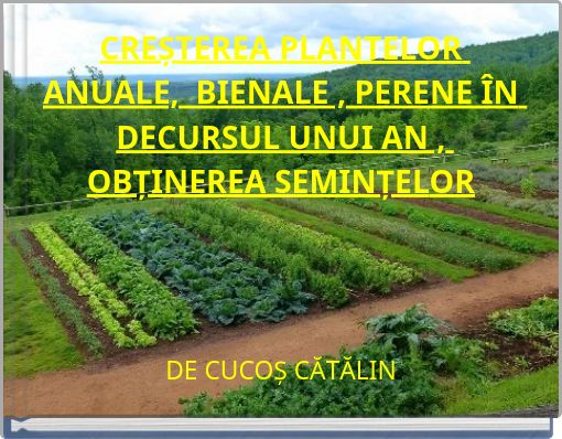 CREȘTEREA PLANTELOR ANUALE, BIENALE , PERENE ÎN DECURSUL UNUI AN , OBȚINEREA SEMINȚELOR
