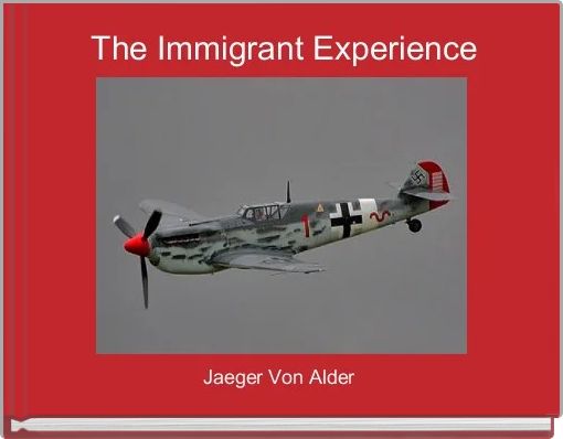  The Immigrant Experience