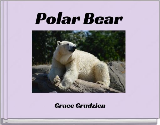 Polar Bear