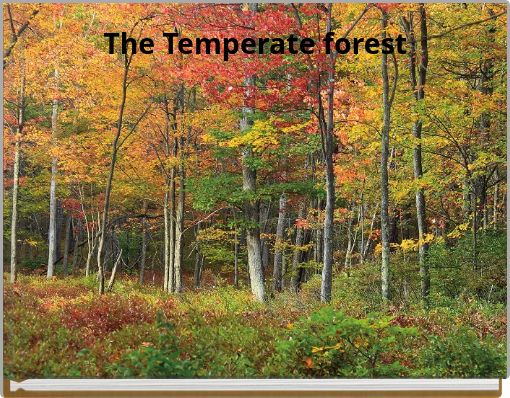 The Temperate forest