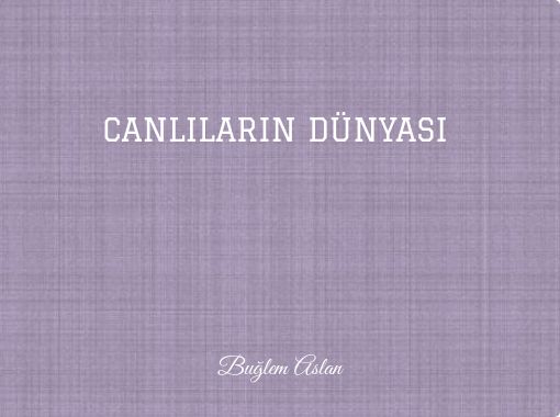 front cover