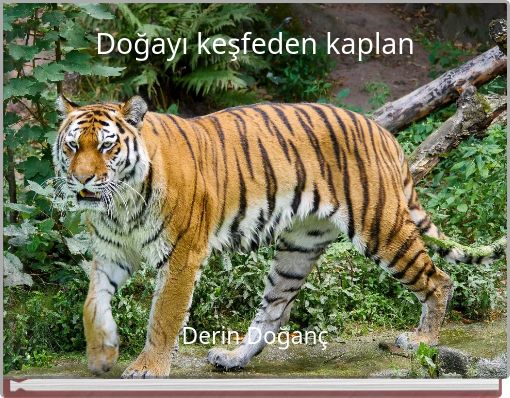 Doğayı keşfeden kaplan