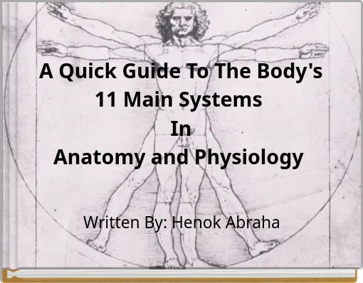 A Quick Guide To The Body's 11 Main Systems In Anatomy and Physiology