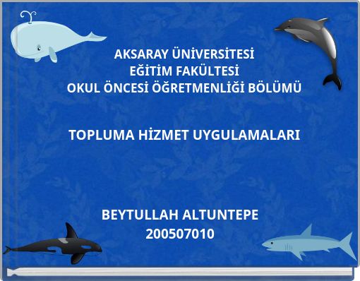 AKSARAY ÜNİVERSİTESİ EĞİTİM FAKÜLTESİ OKUL ÖNCESİ ÖĞRETMENLİĞİ BÖLÜMÜ TOPLUMA HİZMET UYGULAMALARI