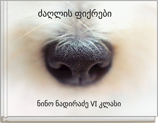 ძაღლის ფიქრები