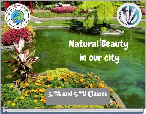 Natural Beauty in our city