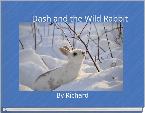 Dash and the Wild Rabbit