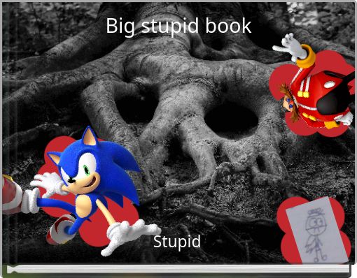 Front cover of 'Big stupid book' 