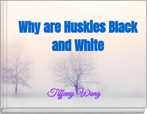 Why are Huskies Black and White