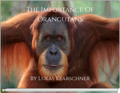 The Importance Of Orangutans