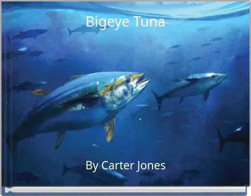 Bigeye Tuna