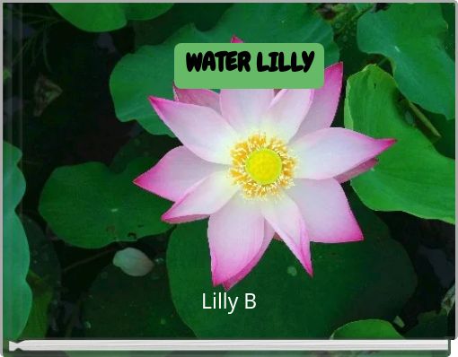 WATER LILLY