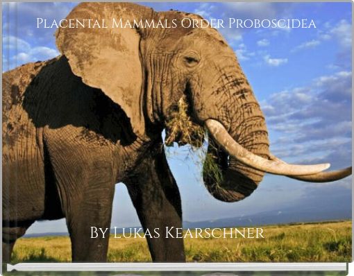 Placental Mammals Order Proboscidea