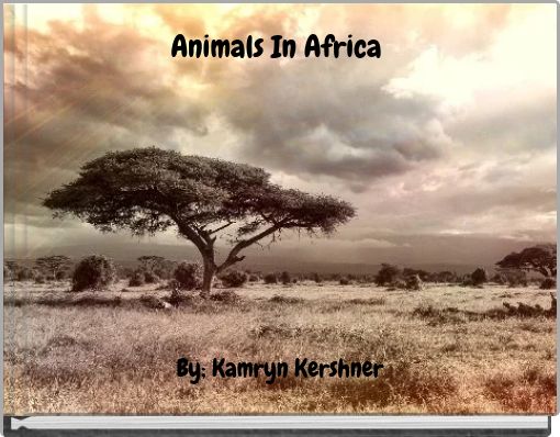 Animals In Africa