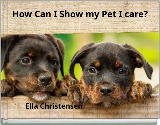 How Can I Show my Pet I care?