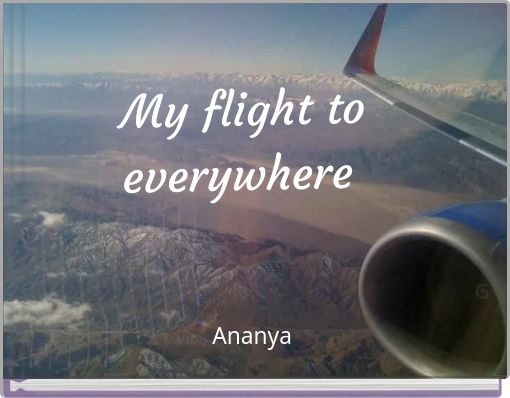 My flight to everywhere