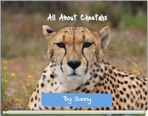 Book Cover for: All About Cheetahs