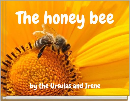 The honey bee