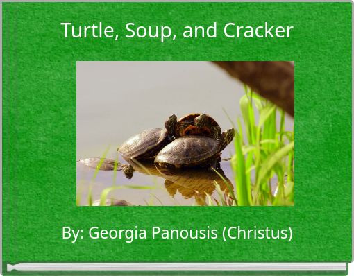 Turtle, Soup, and Cracker