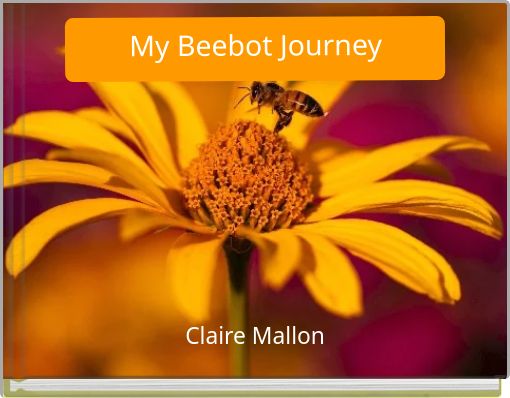 My Beebot Journey