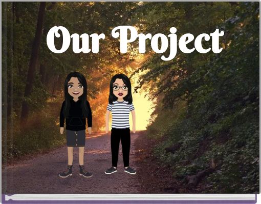 Our Project