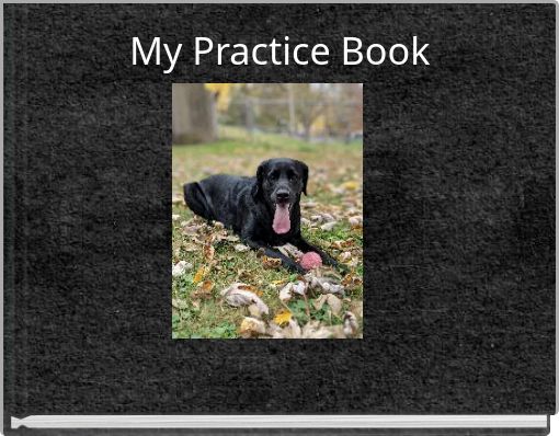 My Practice Book