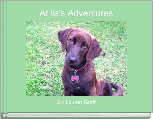 Front cover of 'Atilla's Adventures' 