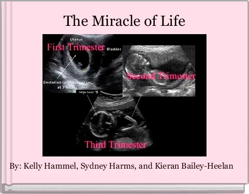The Miracle of Life