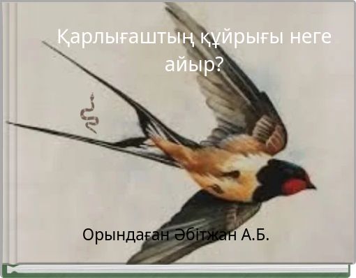 Қарлығаштың құйрығы неге айыр?