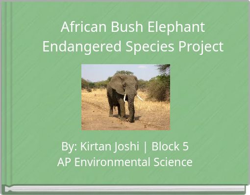 African Bush Elephant Endangered Species Project