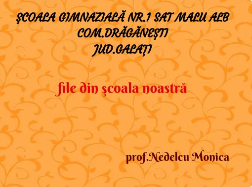 front cover