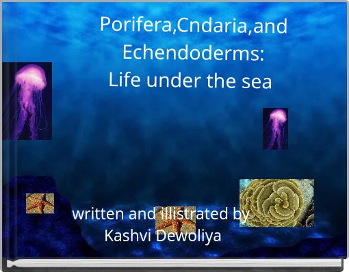 Porifera,Cndaria,and Echendoderms: Life under the sea