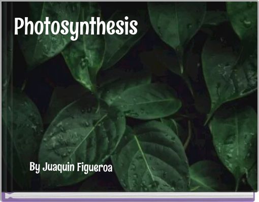 Photosynthesis