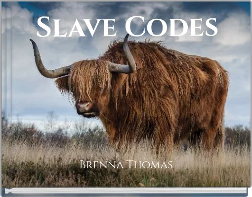 Front cover of 'Slave Codes' 