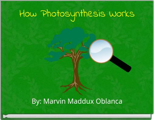 How Photosynthesis Works