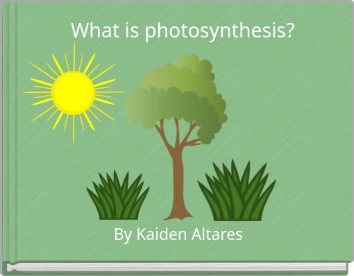 What is photosynthesis?