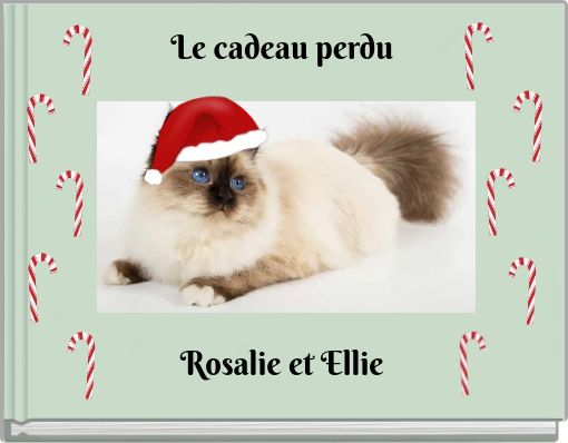 Le cadeau perdu Rosalie et Ellie