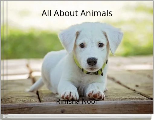 Book Cover for: All About Animals