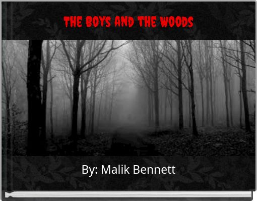 Front cover of 'The Boys and the Woods' 