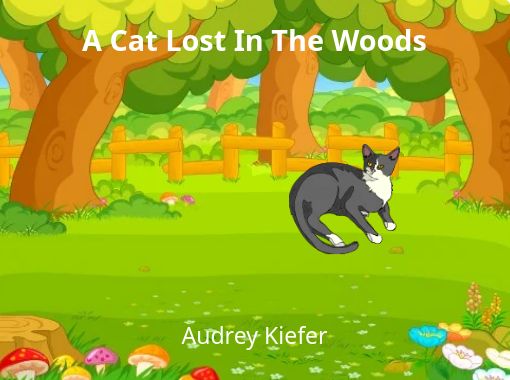 Cat lost in store woods